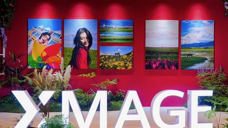 我的世界 1.21基岩版截图0