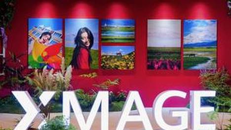 我的世界 1.21基岩版截图1