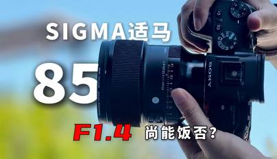 白夜极光 官服截图1