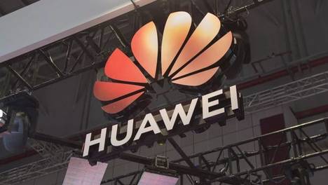 植物大战僵尸 安卓中文版