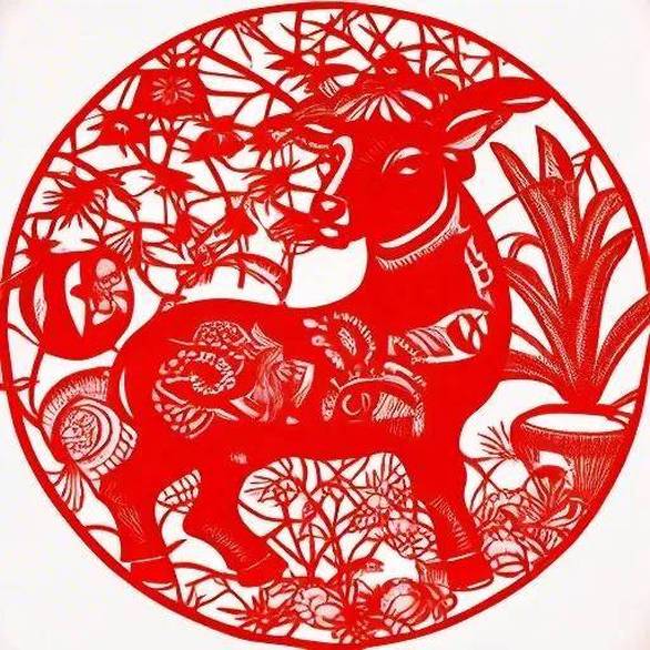 8岁男孩偷偷花1万元网购26箱荔枝