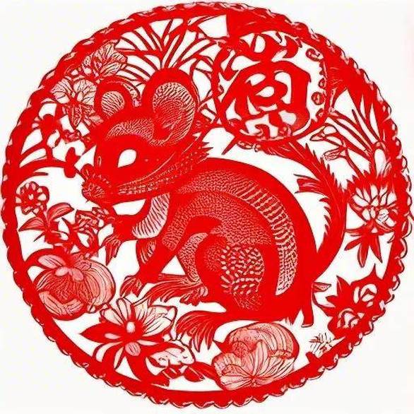 别再拔白头发了