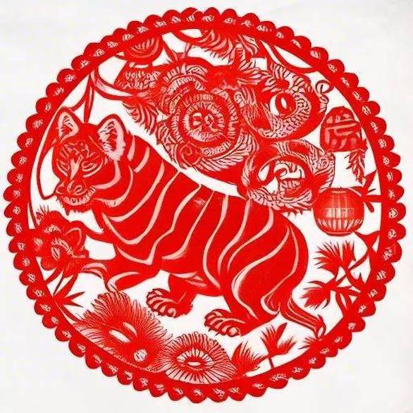 网红孙其康回应孙恩盛无证驾驶