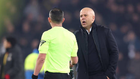 植物大战僵尸杂交版 中文版手游下载截图2