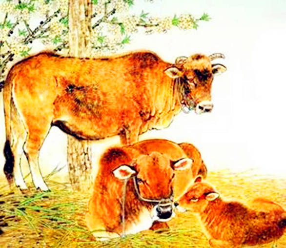 纸嫁衣5来生戏 免广告版