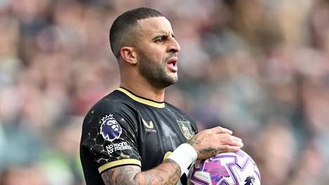 植物大战僵尸杂交版 中文版手游下载截图3