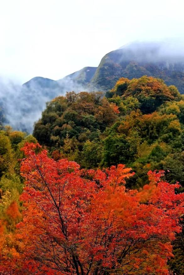 我的世界 基岩版下载国际版1.21截图1