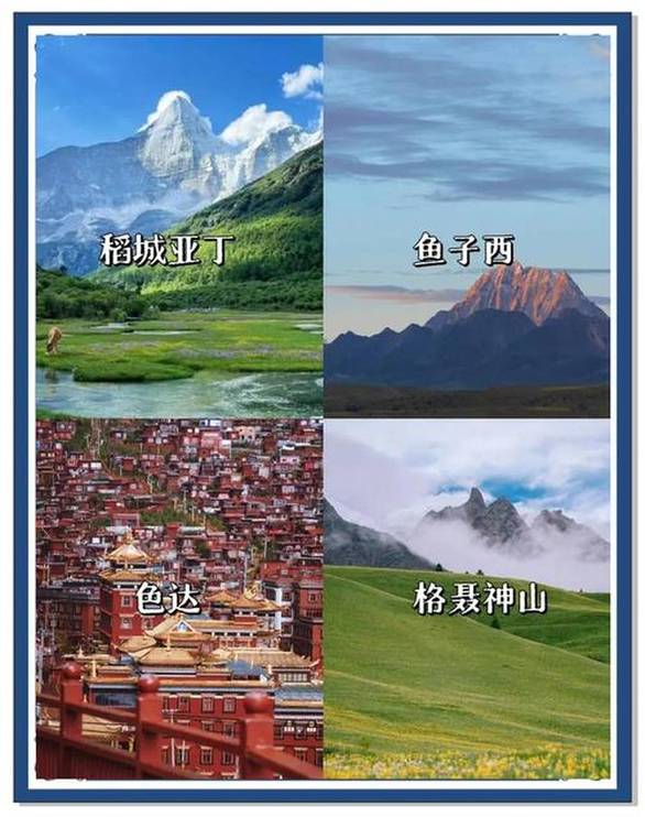 顽皮兔 安卓版截图2