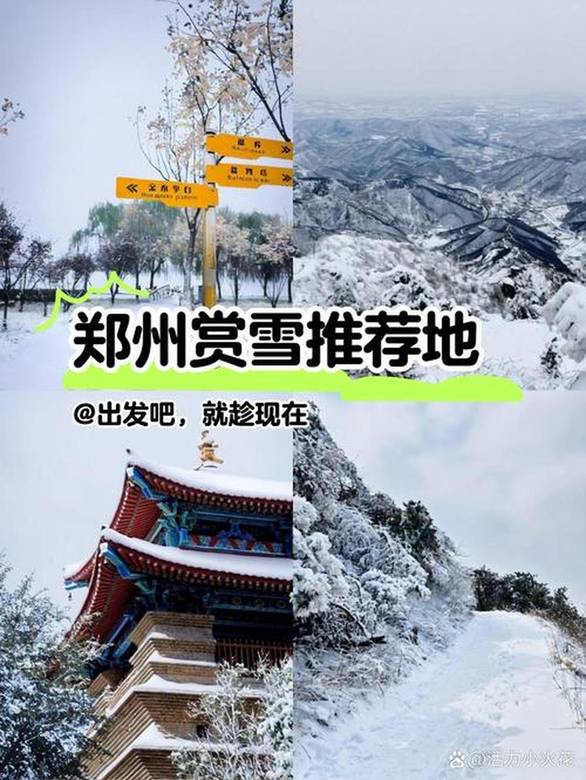 顽皮兔 安卓版截图4