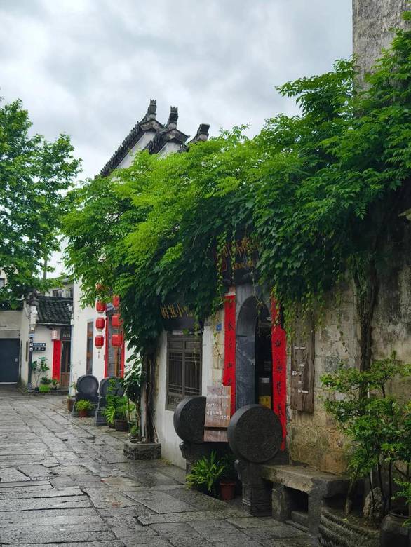 顽皮兔 安卓版截图1