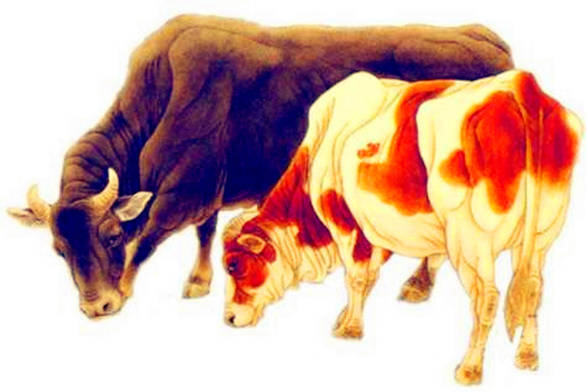 charles小火车查尔斯 游戏手机版