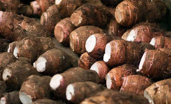 原神空荧酒馆 手机版截图4