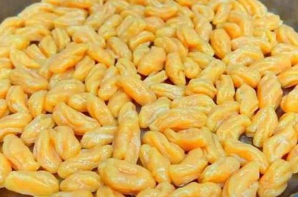 植物大战僵尸bt版 2024最新版