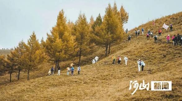 theisle恐龙岛 j9九游会登录入口首页旧版官网最新正版截图0