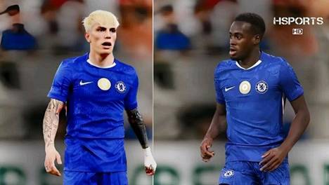 植物大战僵尸杂交版 中文版手游下载截图1