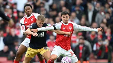 植物大战僵尸杂交版 中文版手游下载截图0