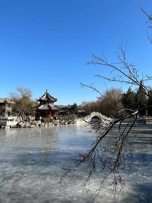 theisle恐龙岛 j9九游会登录入口首页旧版官网最新正版截图2