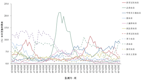 超级机器人：英雄 最新版截图0
