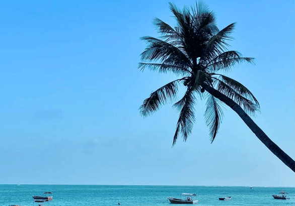 theisle恐龙岛 j9九游会登录入口首页旧版官网最新正版截图1