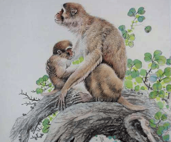 凌云诺 官服截图4