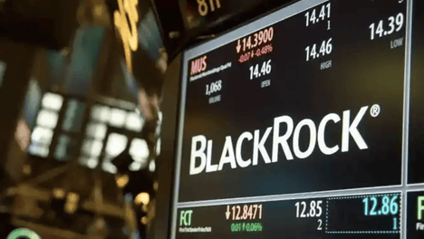 只有黄誉博1人参加全员嘲笑中