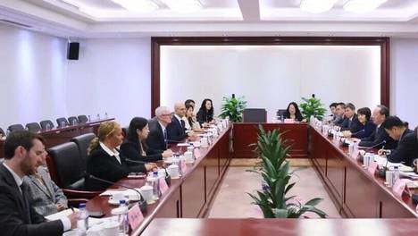 古树旋律 汉化版截图4