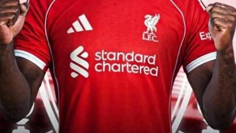 植物大战僵尸杂交版 中文版手游下载截图4