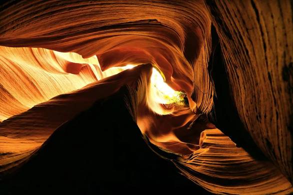 虫虫助手 2024官方版截图3