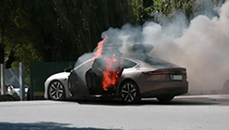 萌龙大乱斗 更新版截图3