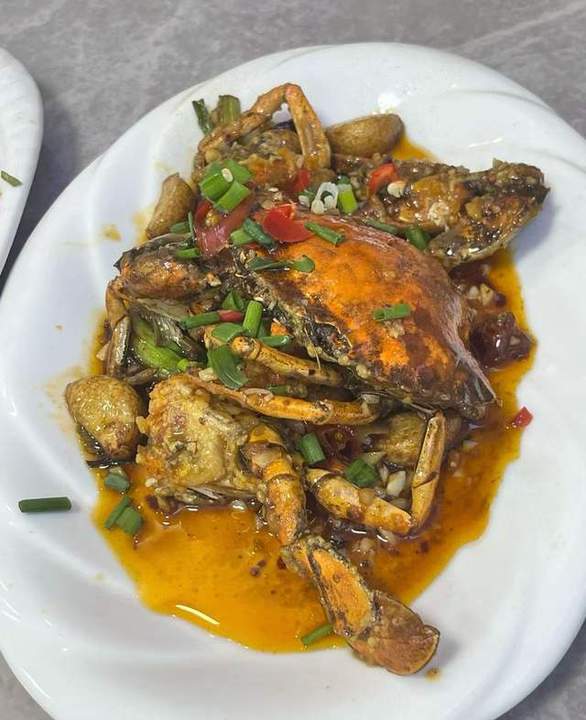 恐龙岛大猎杀 安卓下载最新版截图3