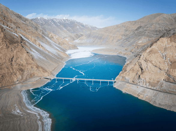 虫虫助手 2024官方版