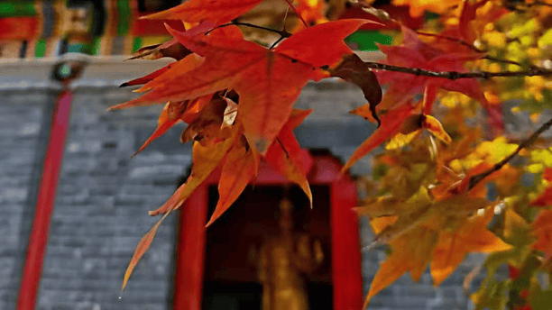 免费观看在线高清电视剧软件,若对话让你的注意力被强烈牵走，是该温柔换个节奏的时候了