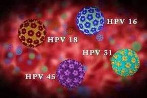 蛋仔派对 官服正版最新版截图1