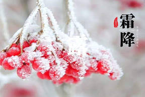 蛋仔派对 官服正版最新版截图2