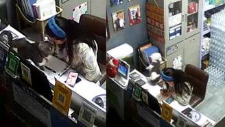 萌龙大乱斗 更新版截图4