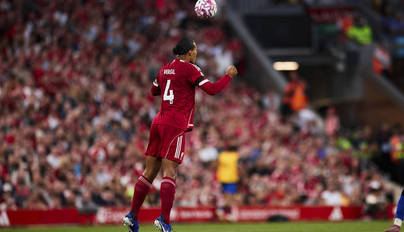 植物大战僵尸冰火版