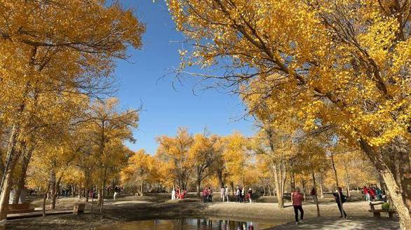 真人快打x 安卓版截图0