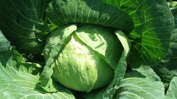 暗区突围 2024国际服截图4