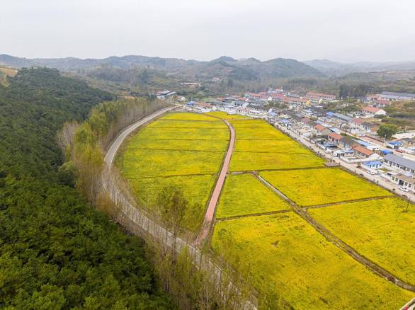 我自为道 j9九游会登录入口首页旧版官网版截图3