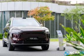 植物大战僵尸融合版 官方正版截图4