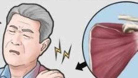 樱校模拟器 j9九游会登录入口首页旧版官网手机版截图0