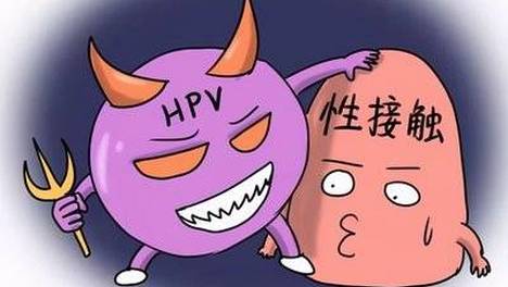 绿茵信仰 网易版截图2