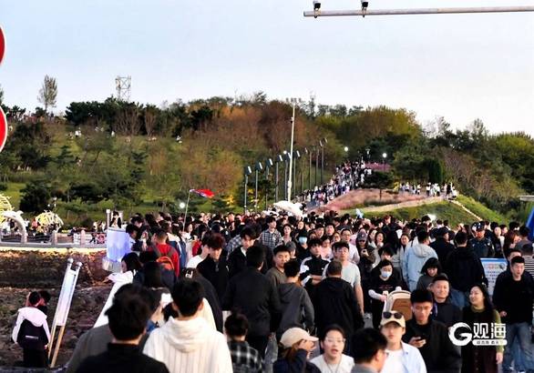 植物大战僵尸1 网页版