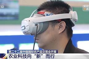 植物大战僵尸融合版 官方正版截图3