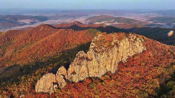 我自为道 j9九游会登录入口首页旧版官网版截图1