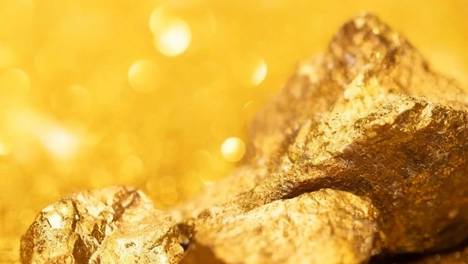 内鬼v5 最新版截图1