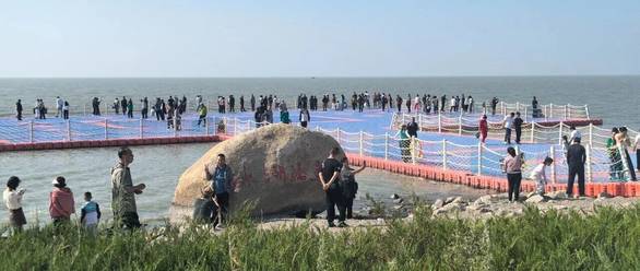 我自为道 j9九游会登录入口首页旧版官网版