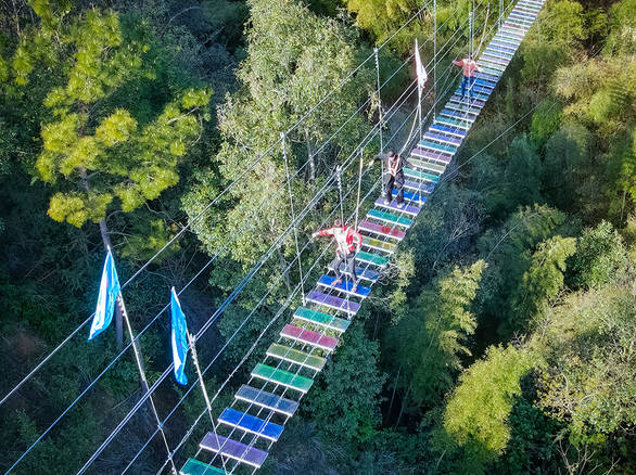 植物大战僵尸1 网页版截图3