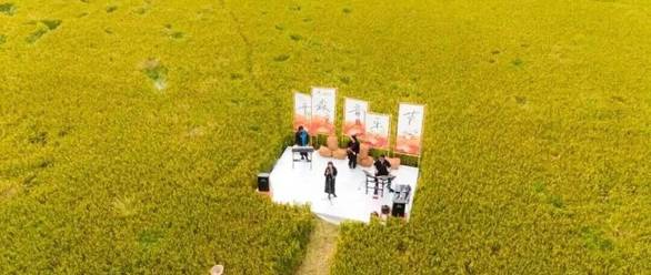 黑色星期五之夜 腐化版正版