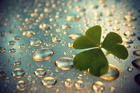 僵尸试验危机逃生截图2